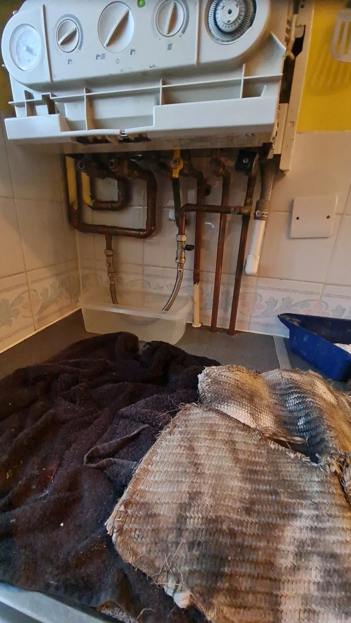 Descriptive text for the image