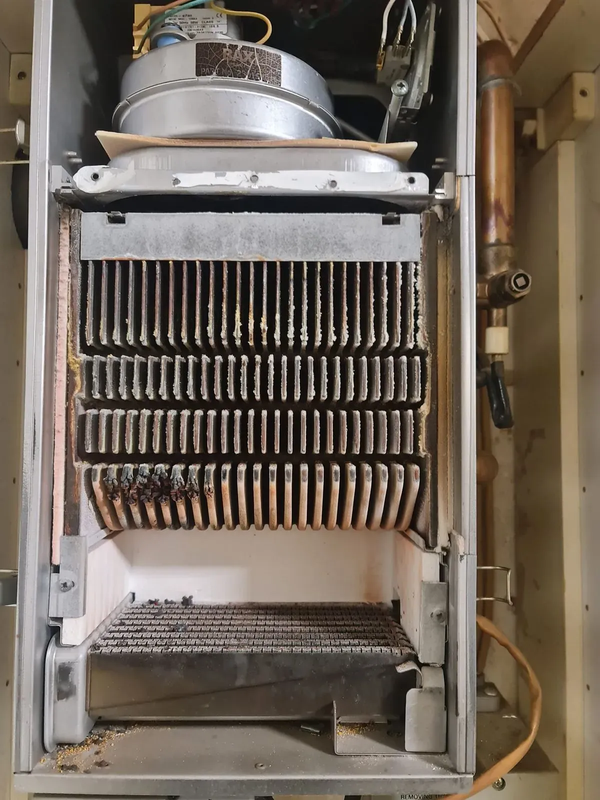 Descriptive text for the image