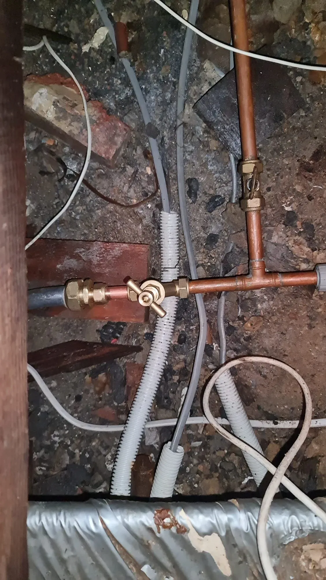 Descriptive text for the image