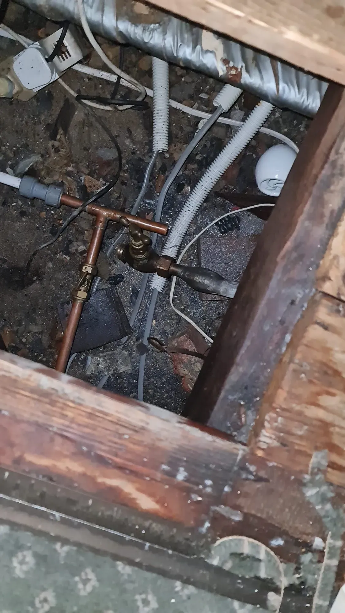 Descriptive text for the image