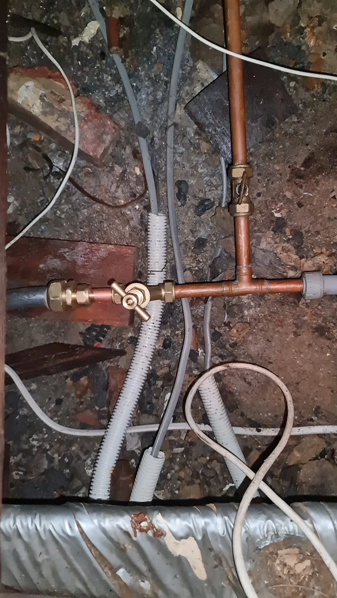 Descriptive text for the image