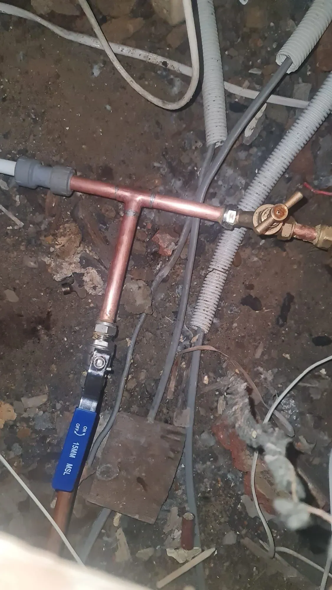 Descriptive text for the image