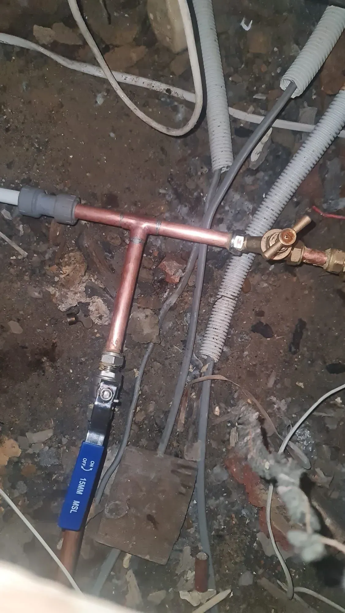 Descriptive text for the image