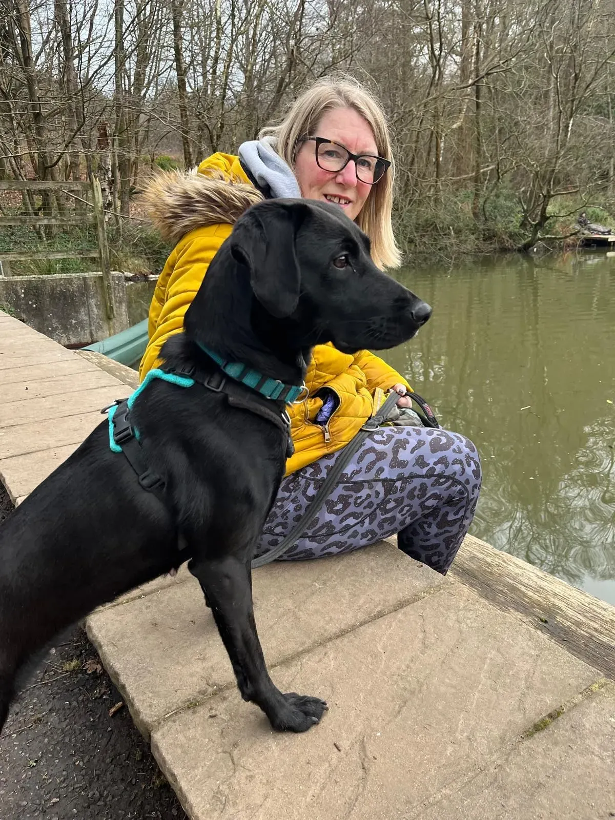 Descriptive text for the image