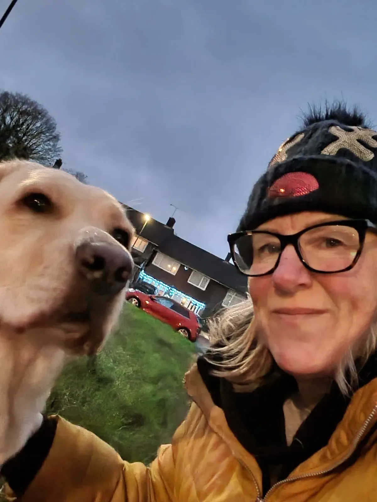 Descriptive text for the image