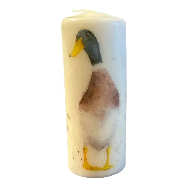 undefined thumbnail image