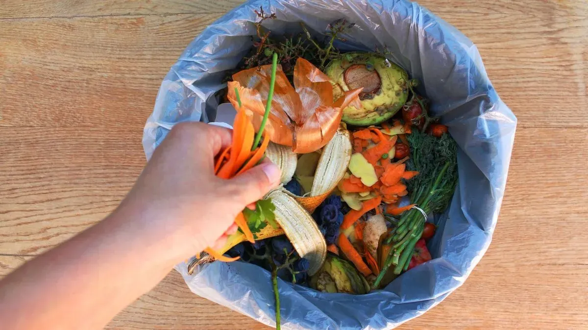 Customer service team assisting a small business with food waste collection in Plymouth