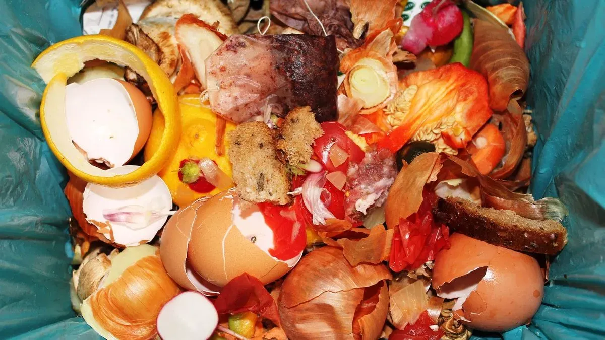 Food waste bins outside a cafe in Plymouth ready for collection