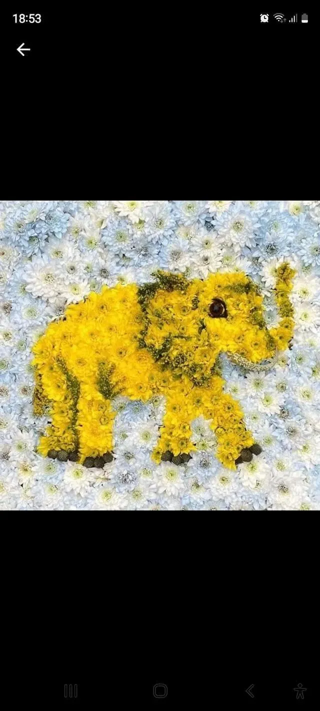 undefined background image