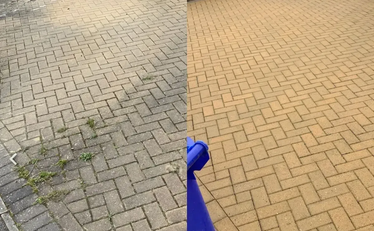 Descriptive text for the image