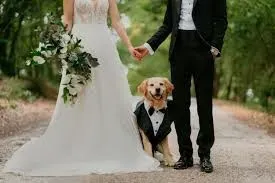WEDDING CHAPERONE image background image