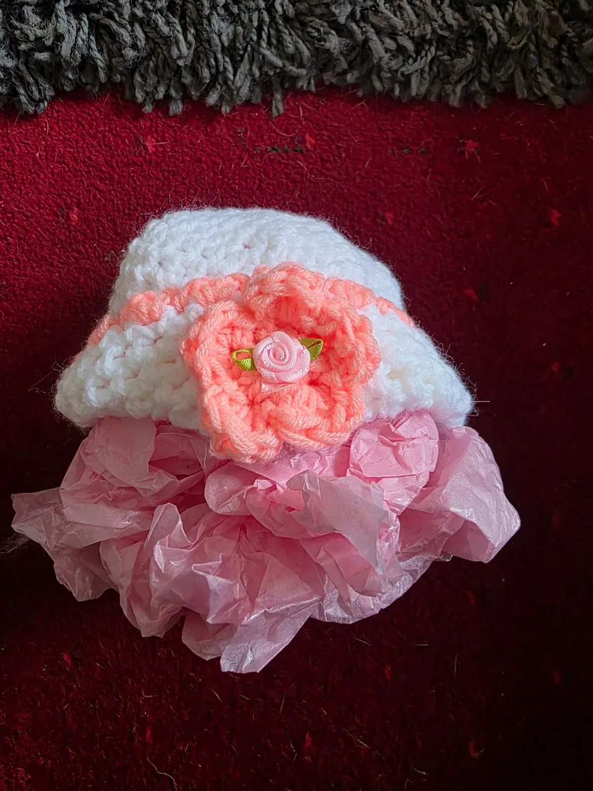 8222796108731-l5mu4739mhr38ciyzn8wt1-20260426-124404 thumbnail image