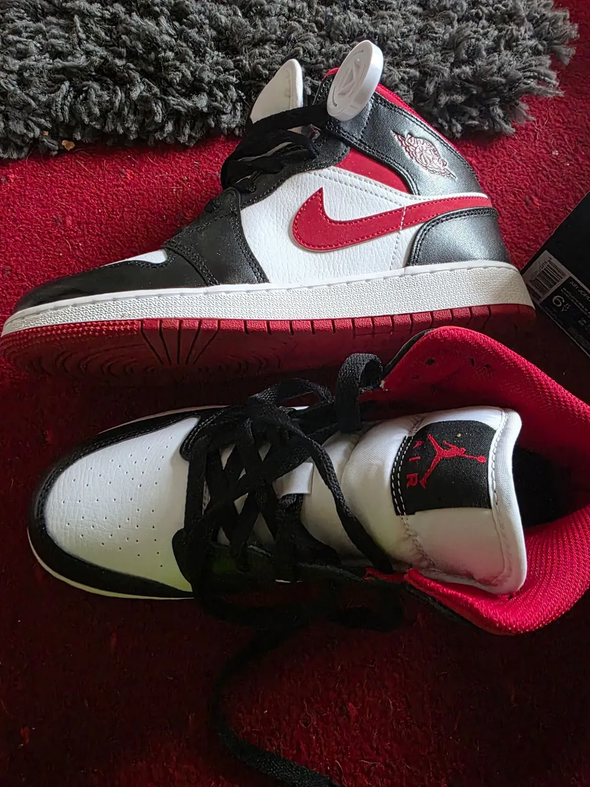 8223899274625-ik16t95iividyrfa5zdsyw-20260413-181604 collection background image