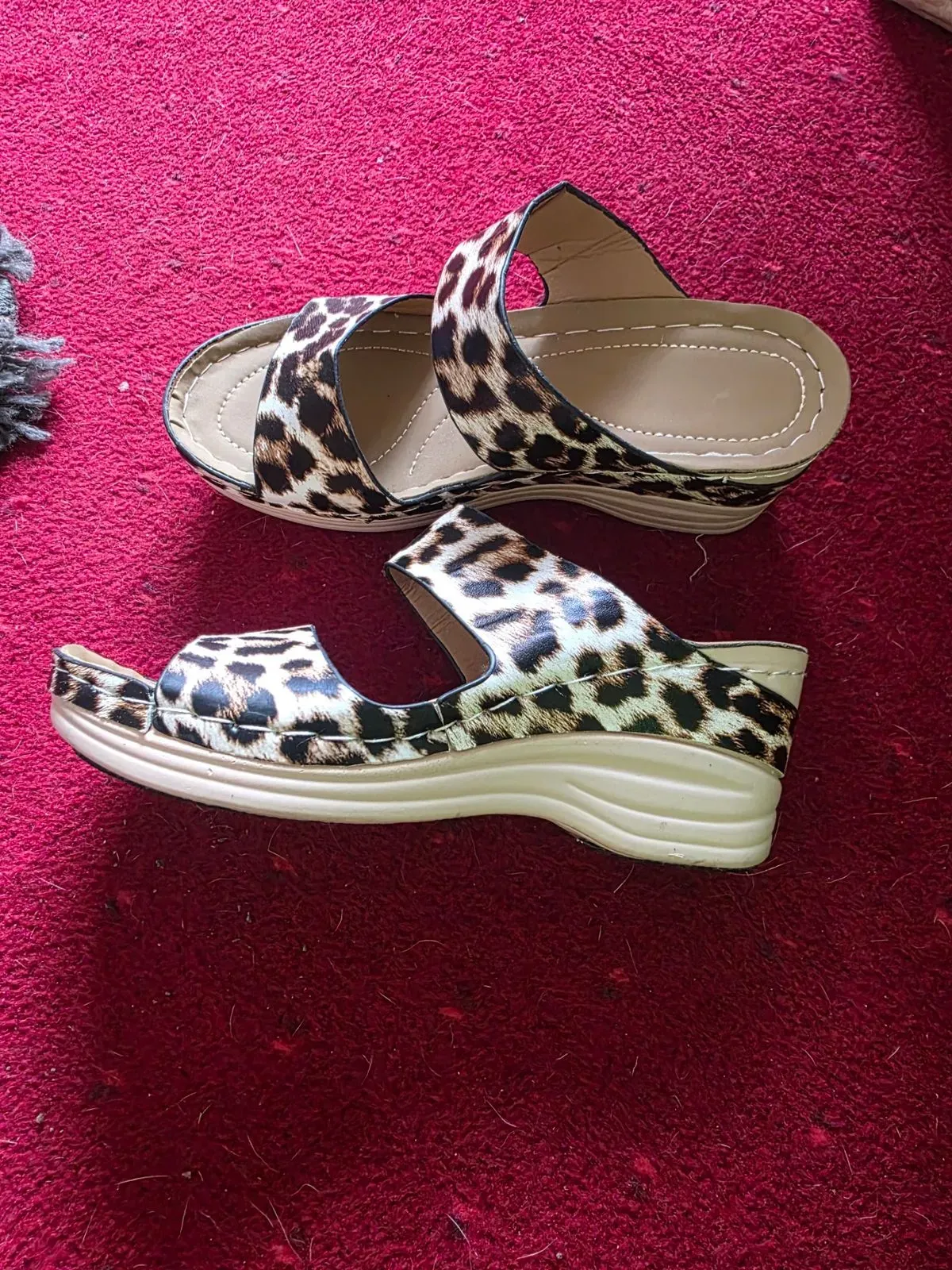 8223909296469-snjeghvsfc82e4qlh3y66i-20260413-152954 thumbnail image