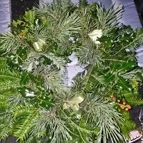 undefined thumbnail image