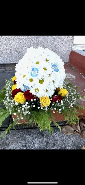 undefined thumbnail image