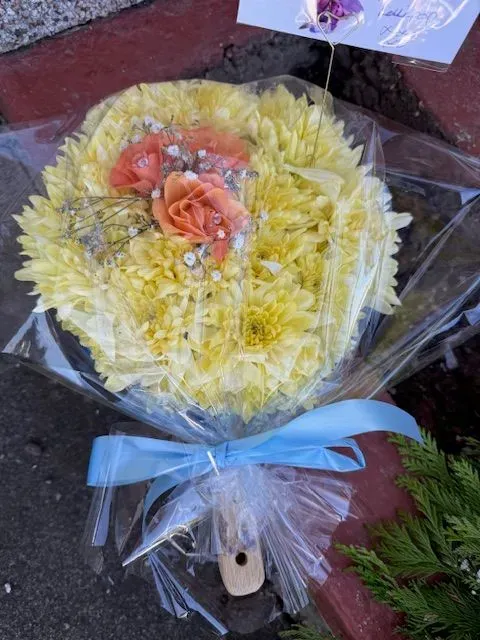 8226229791294-wt6w3ftkodbl66ar5sf2tb-IMG-0062-Original thumbnail image