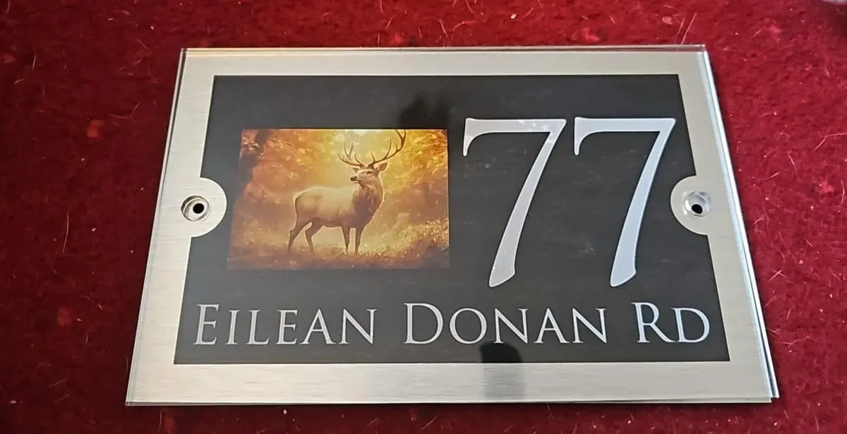 8226746518834-319j1lj9rzlq18lod8eg-stag thumbnail image