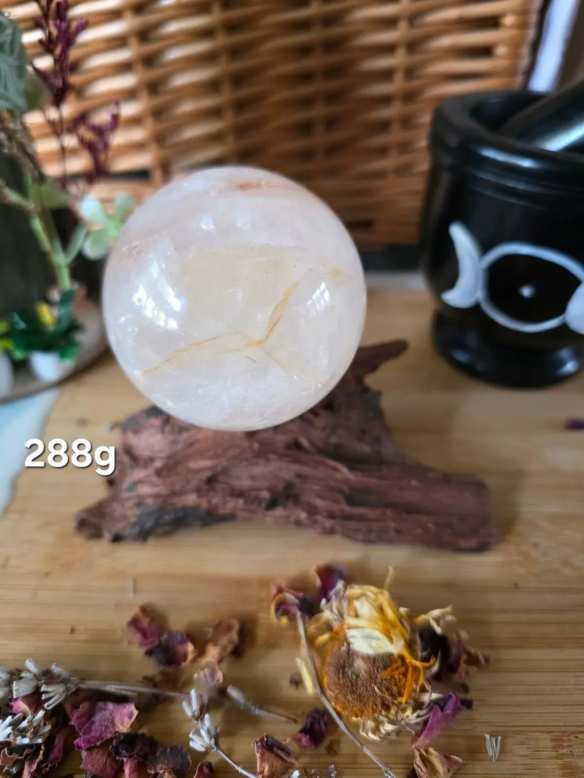 20250815-175800 thumbnail image