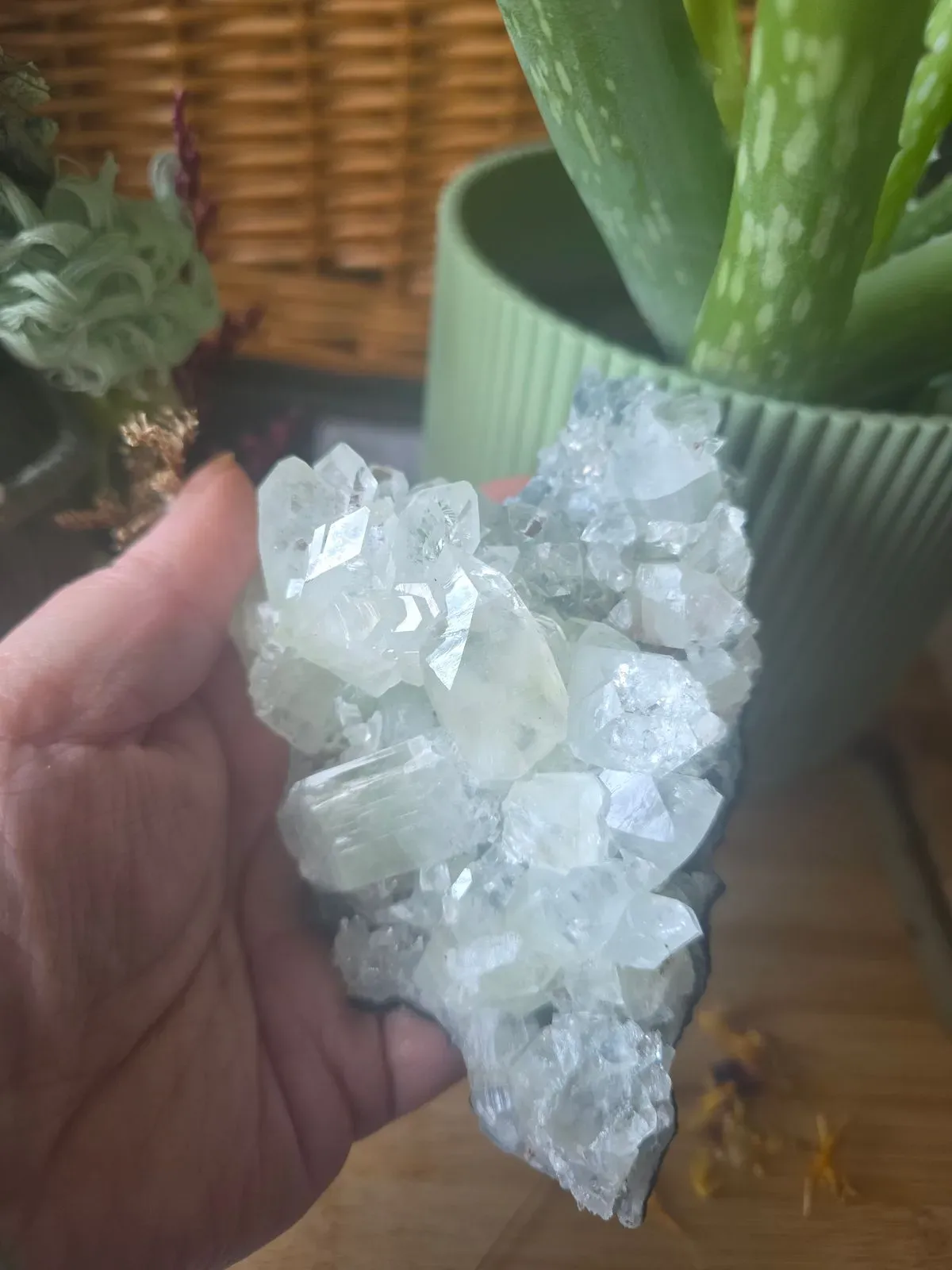 undefined thumbnail image