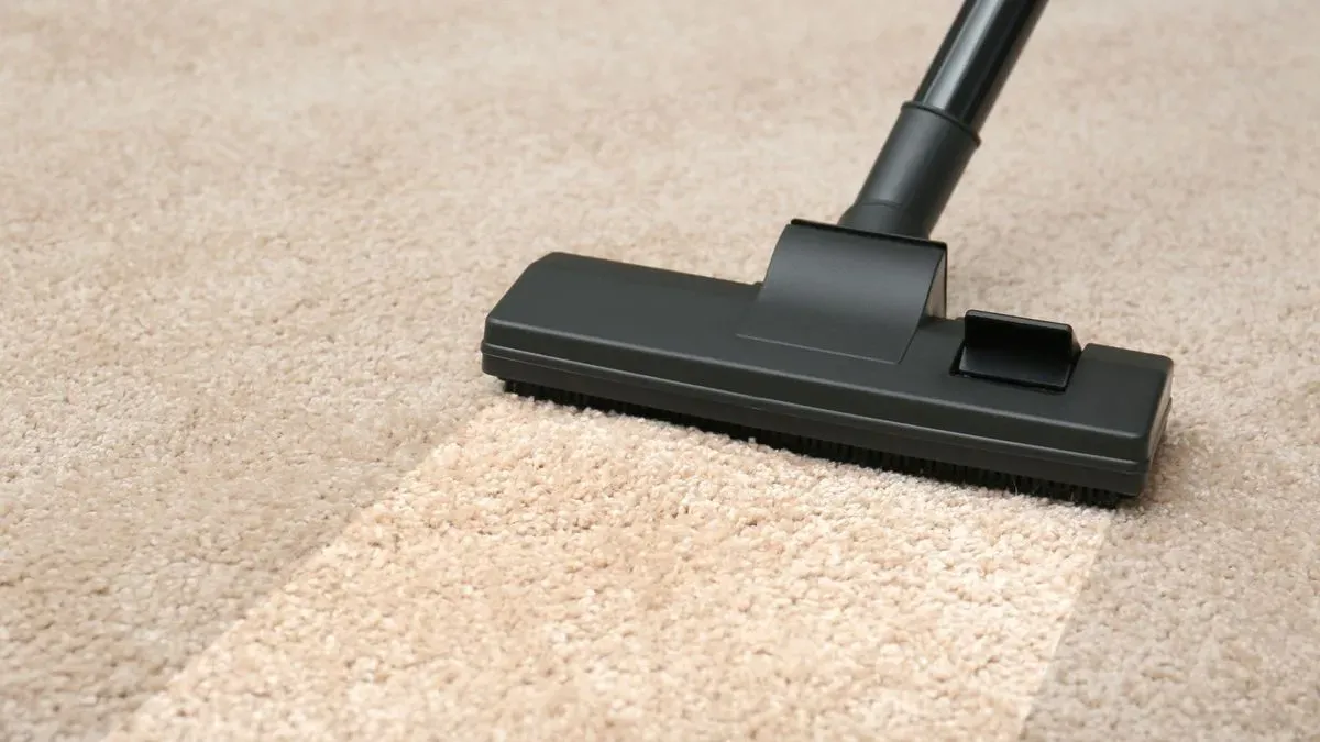 Professional cleaners in Bathford preparing for a task