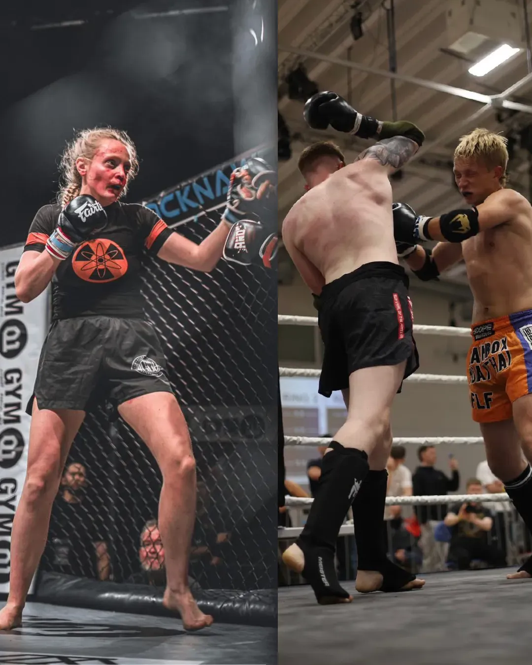 Descriptive text for the image