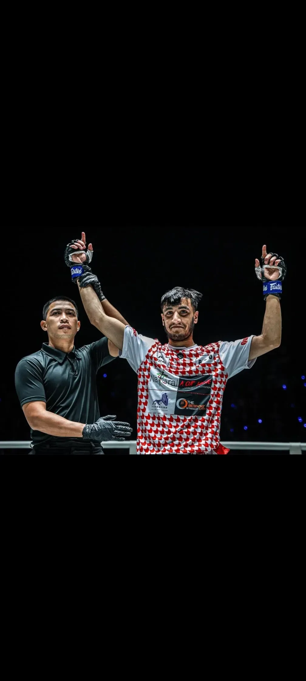 Descriptive text for the image