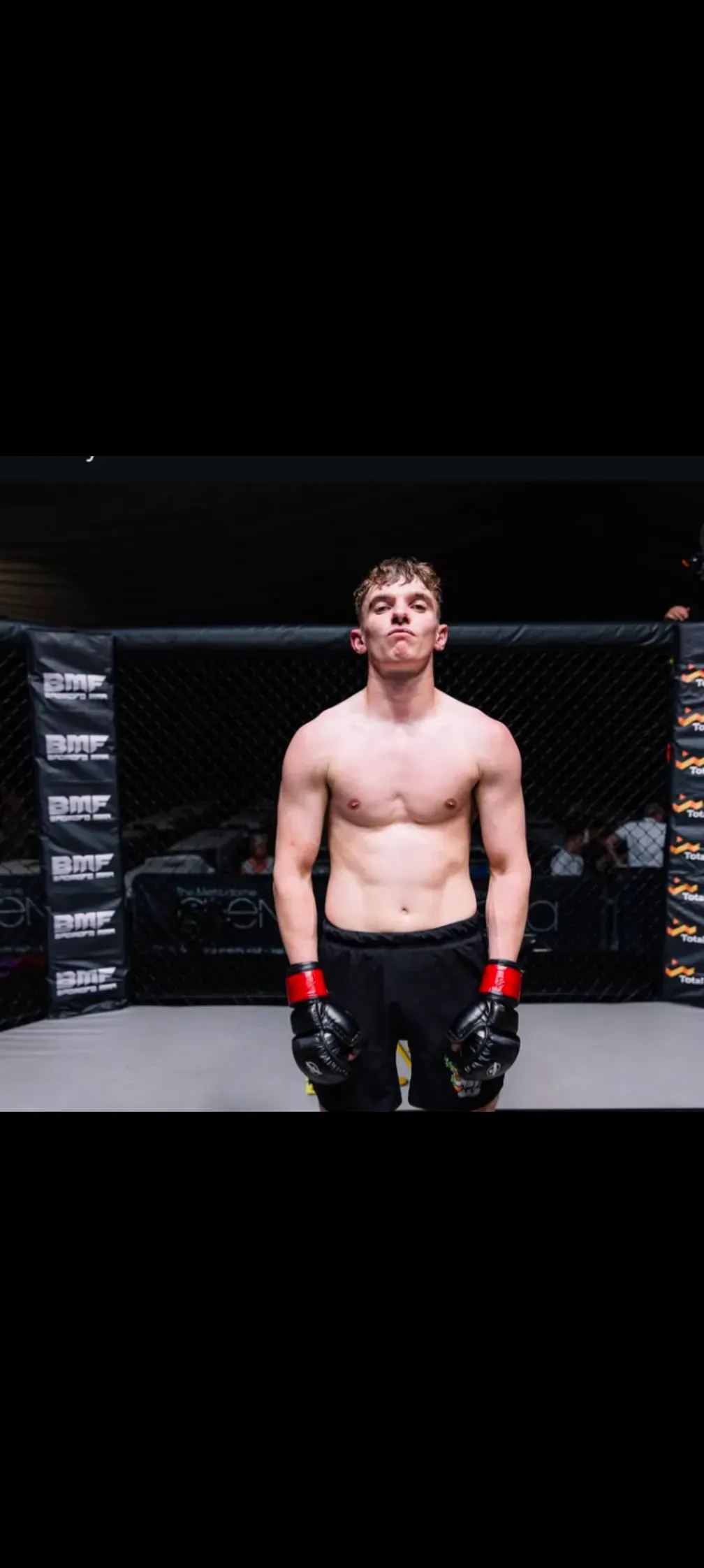 Descriptive text for the image