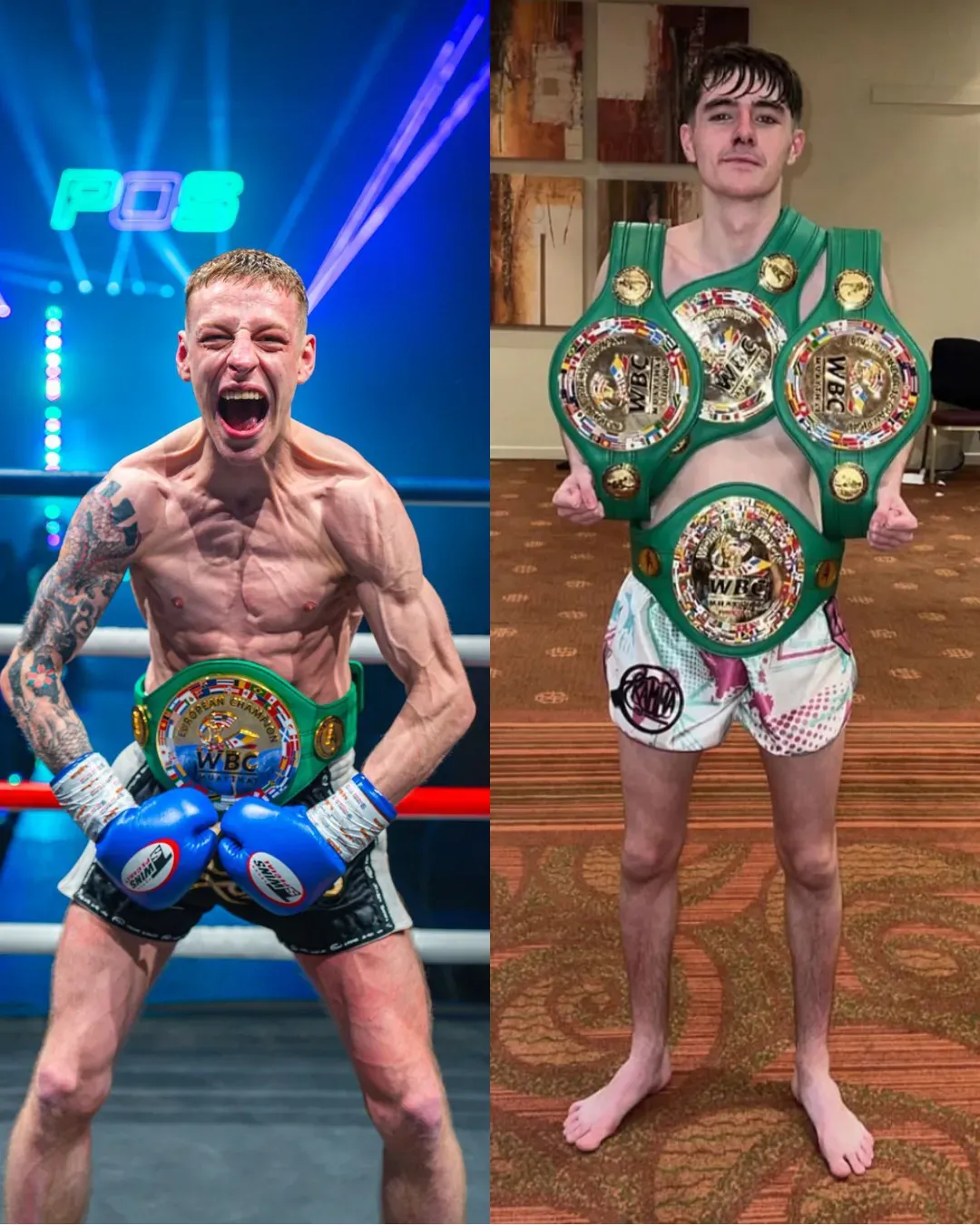 Descriptive text for the image