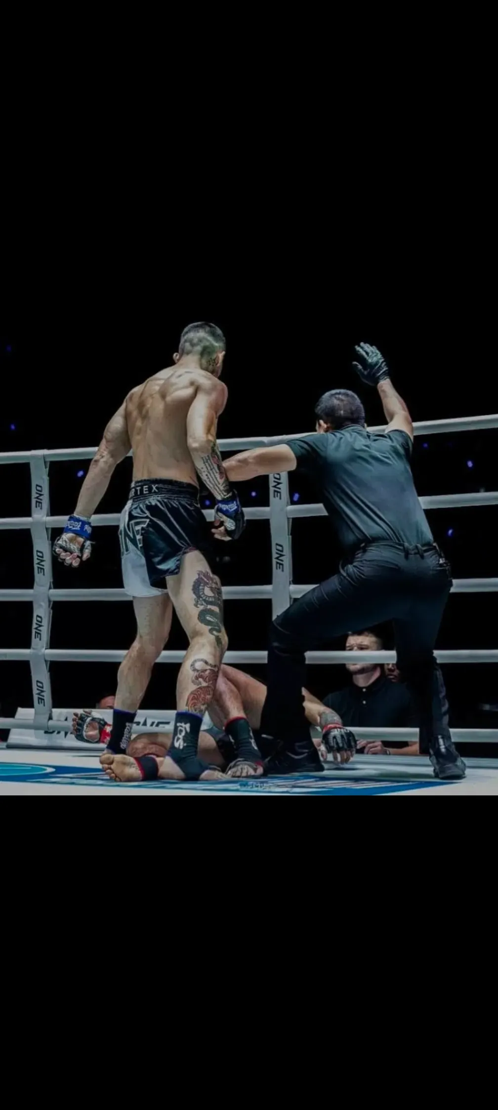 Descriptive text for the image