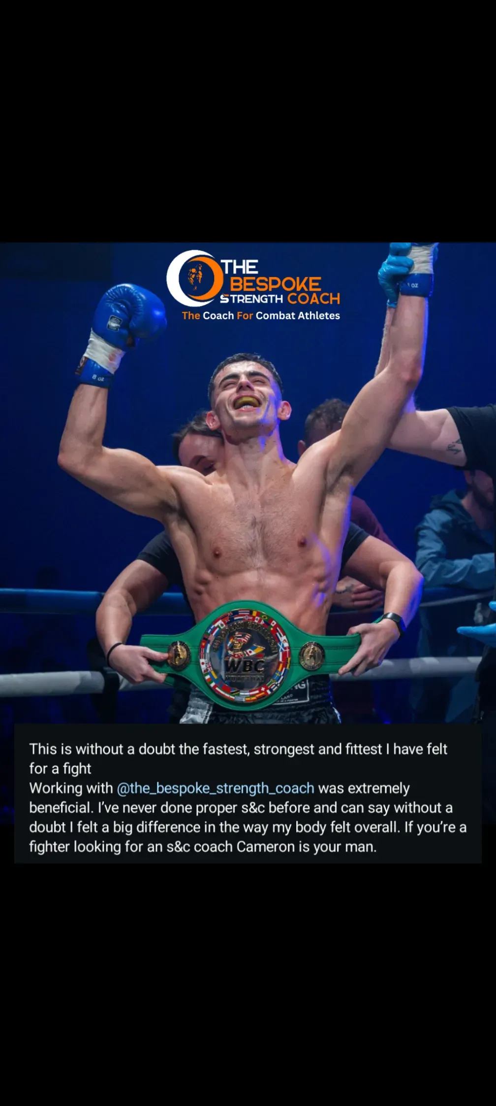 Descriptive text for the image