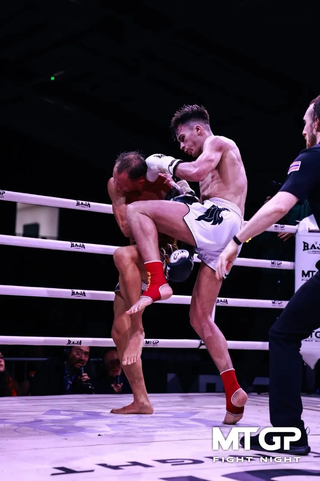 Descriptive text for the image