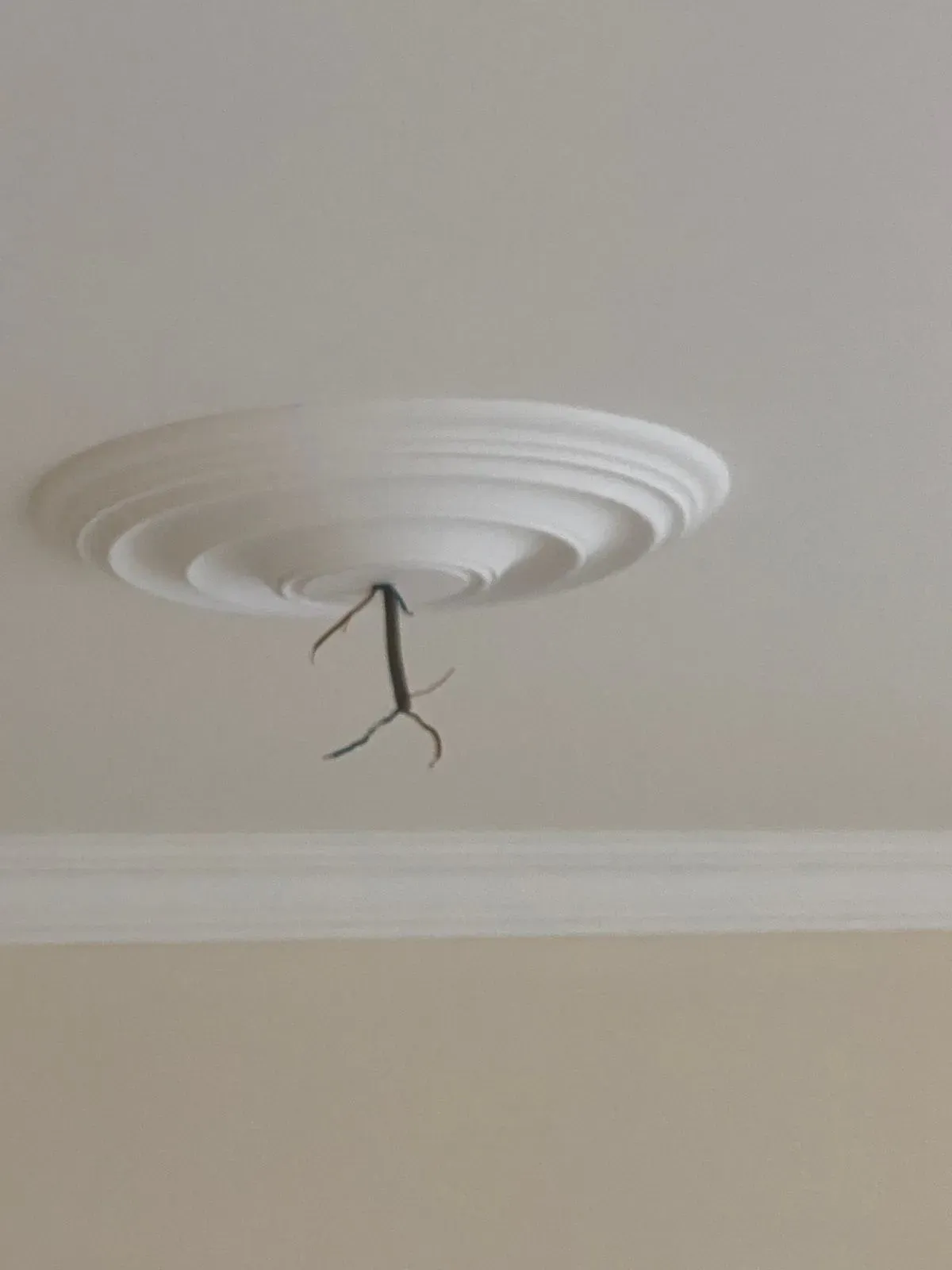 Electrical repairs image background image