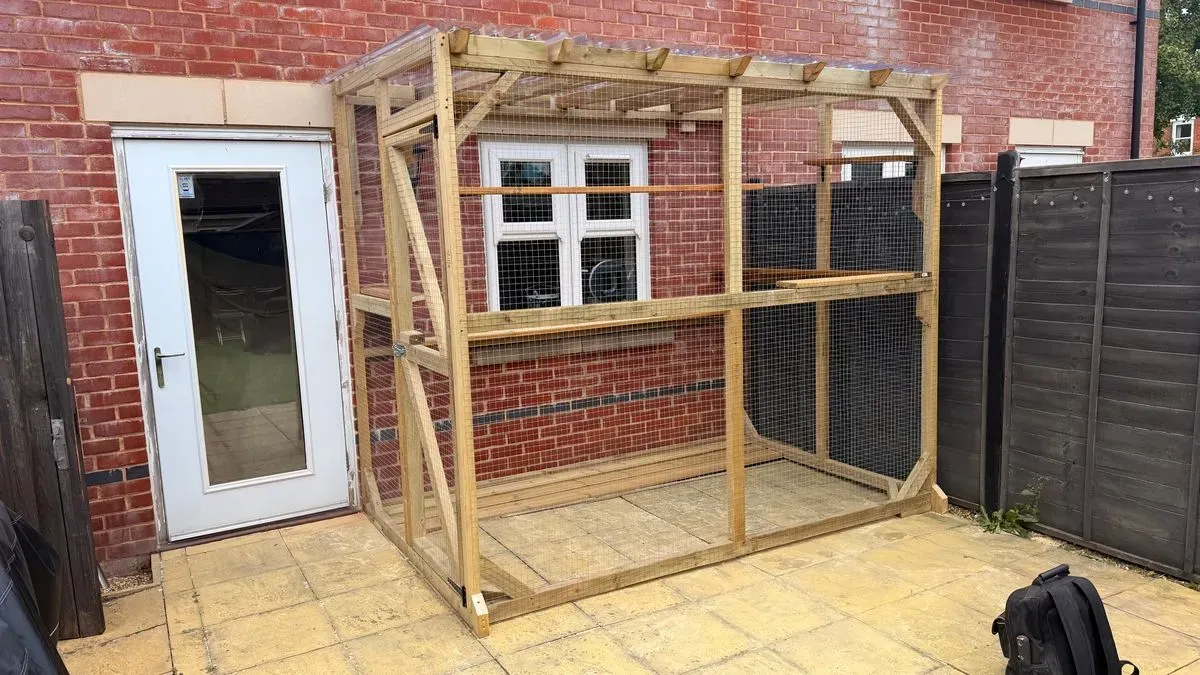 Catio Installer image