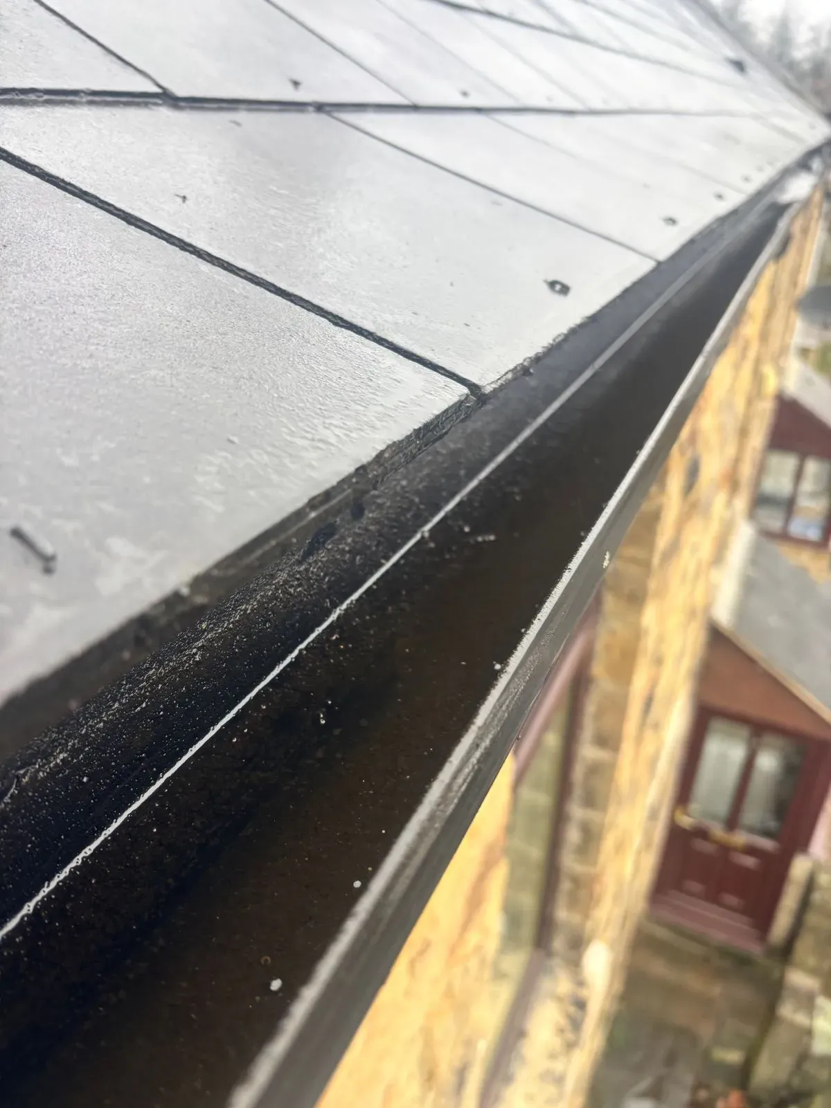 Roof Cleaning Services image