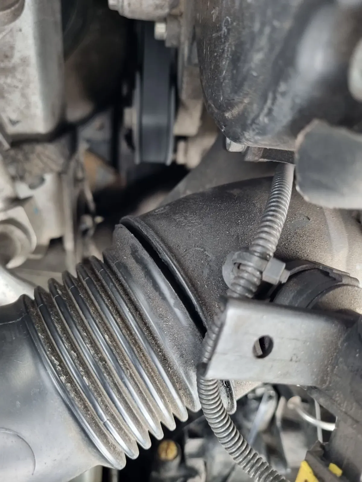 Gallery image 126