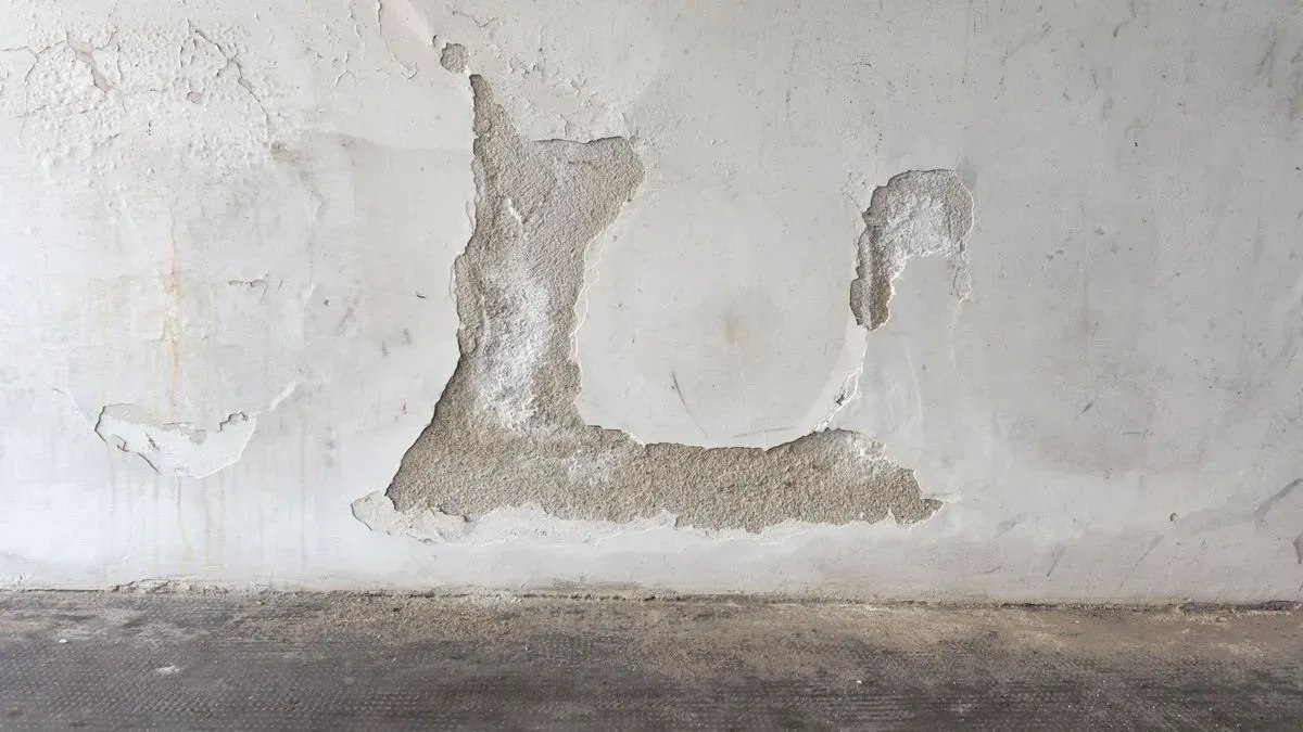 Descriptive text for the image