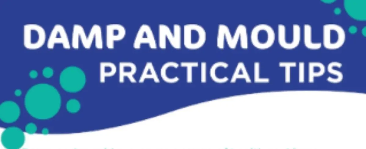 Descriptive text for the image