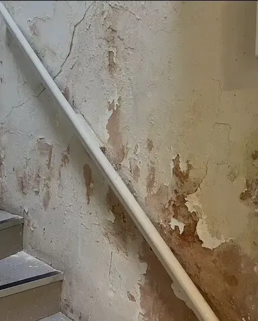 Penetrating Damp Solutions image background image
