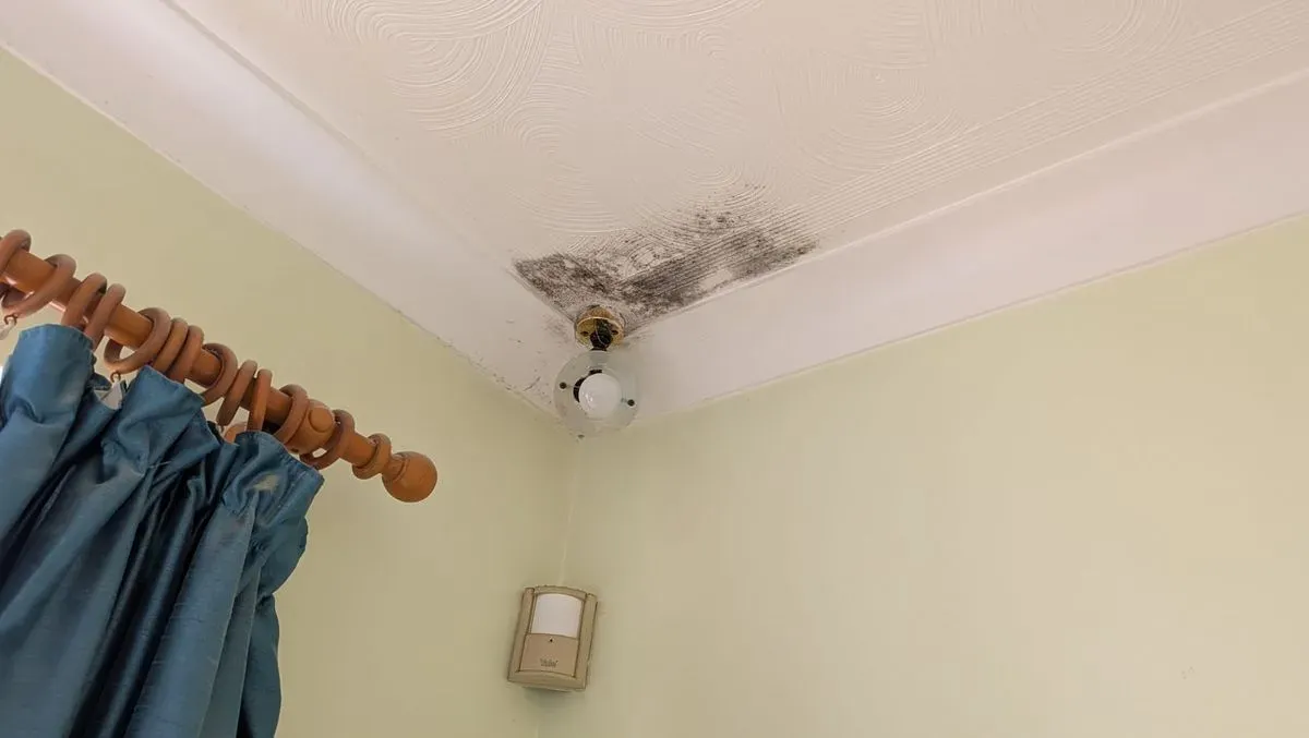 Damp Proofing in Swindon