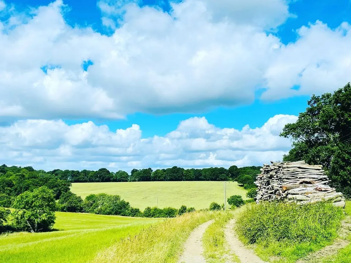 Descriptive text for the image
