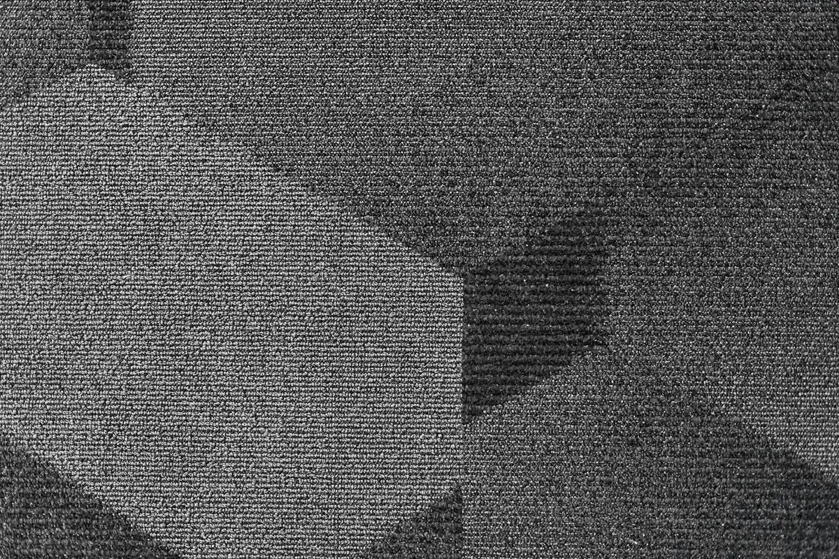 Descriptive text for the image