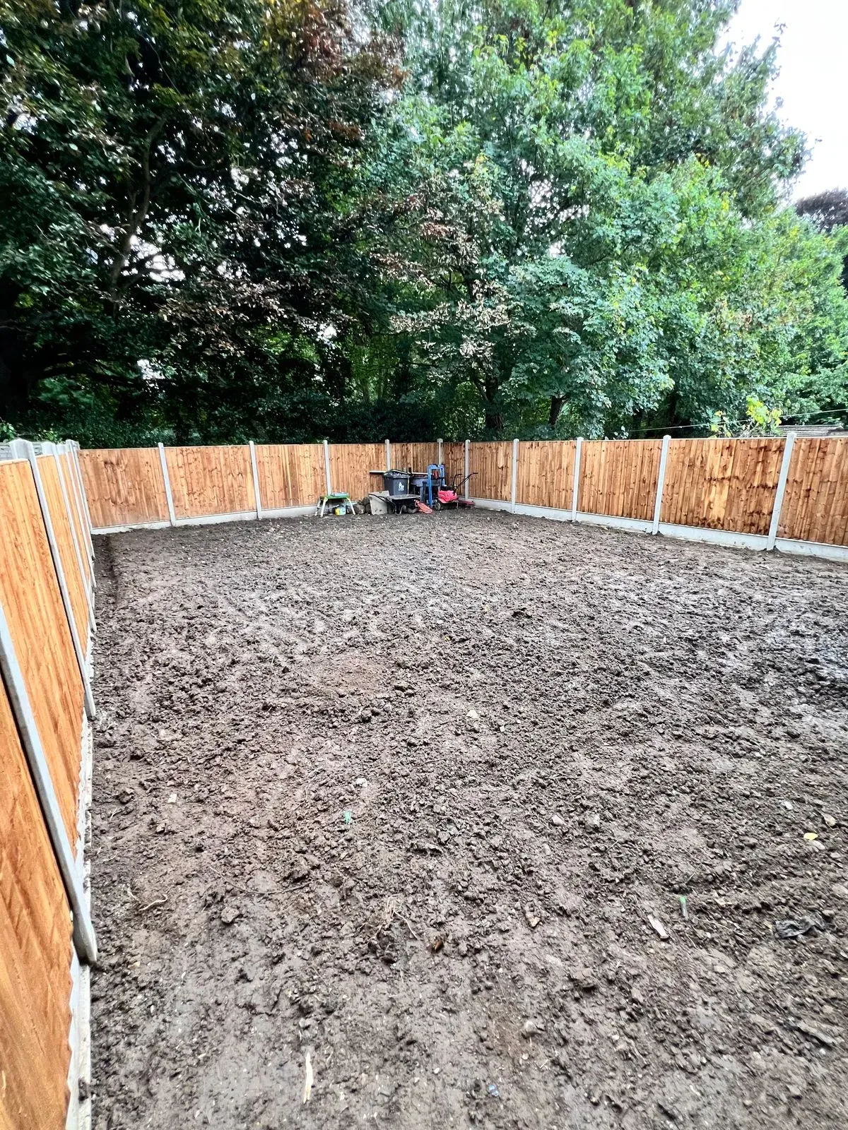 undefined background image