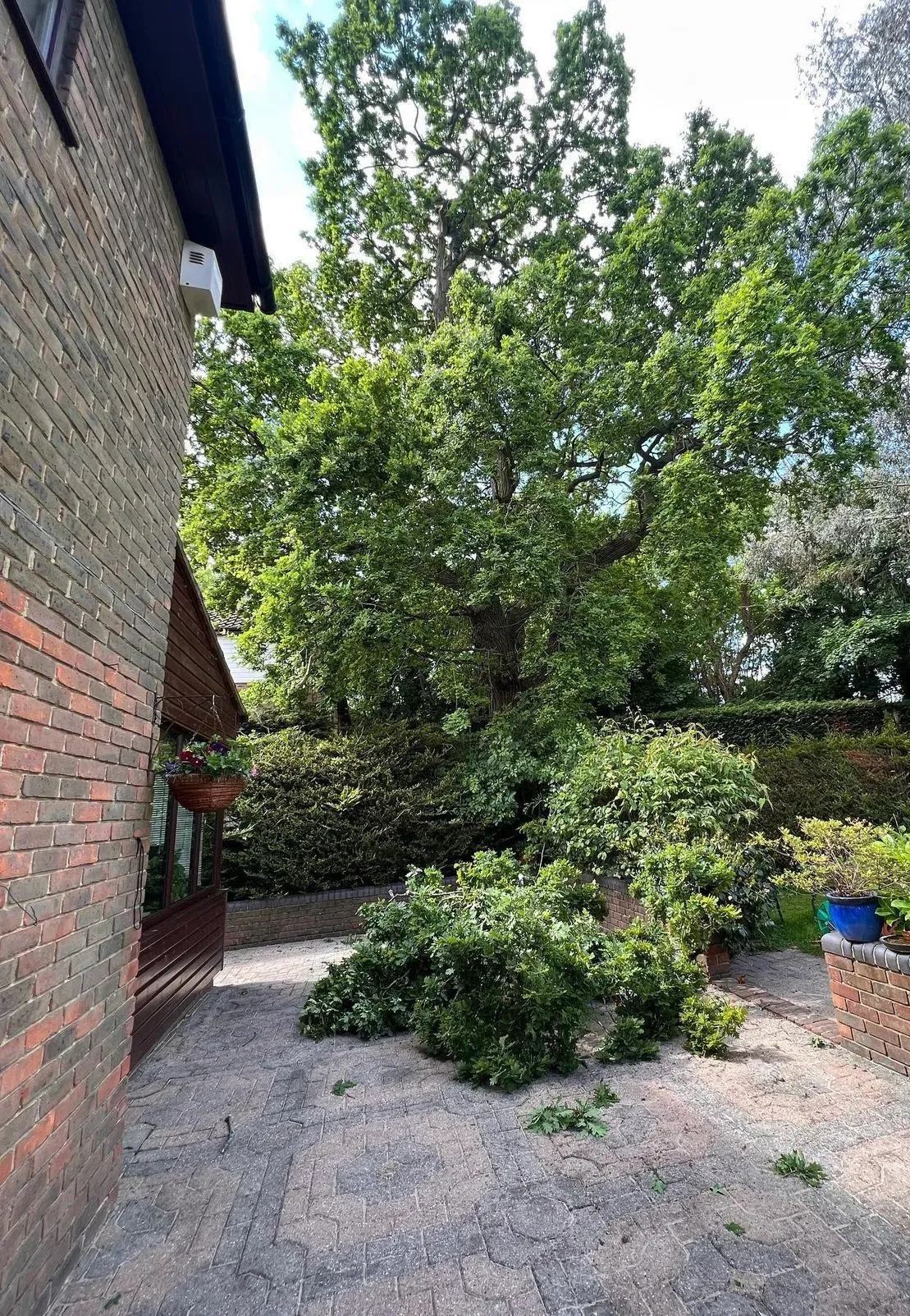 undefined background image