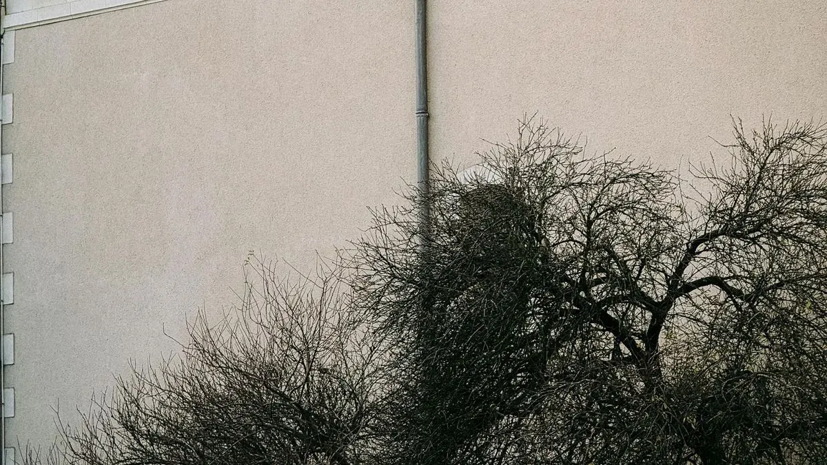 Close-up of water-repellent application in Totnes