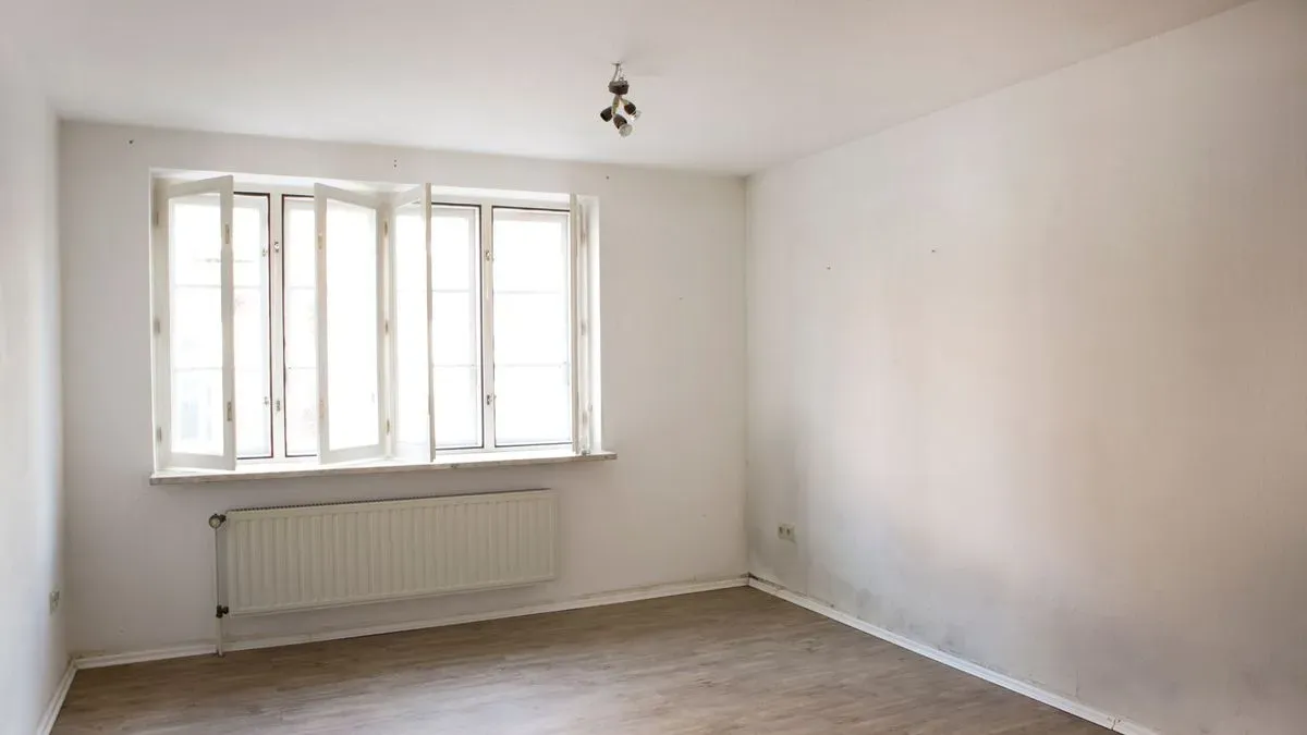 Professional woodworm treatment solutions in Totnes