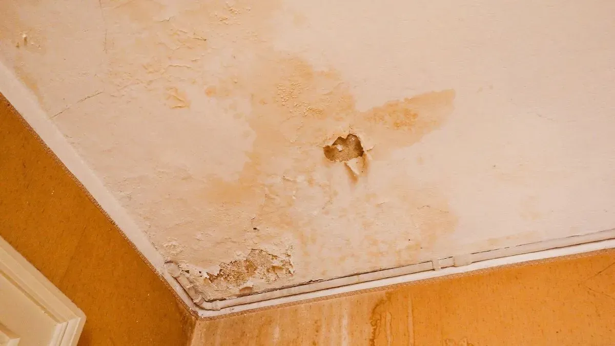 Damp proofing work underway in Totnes home