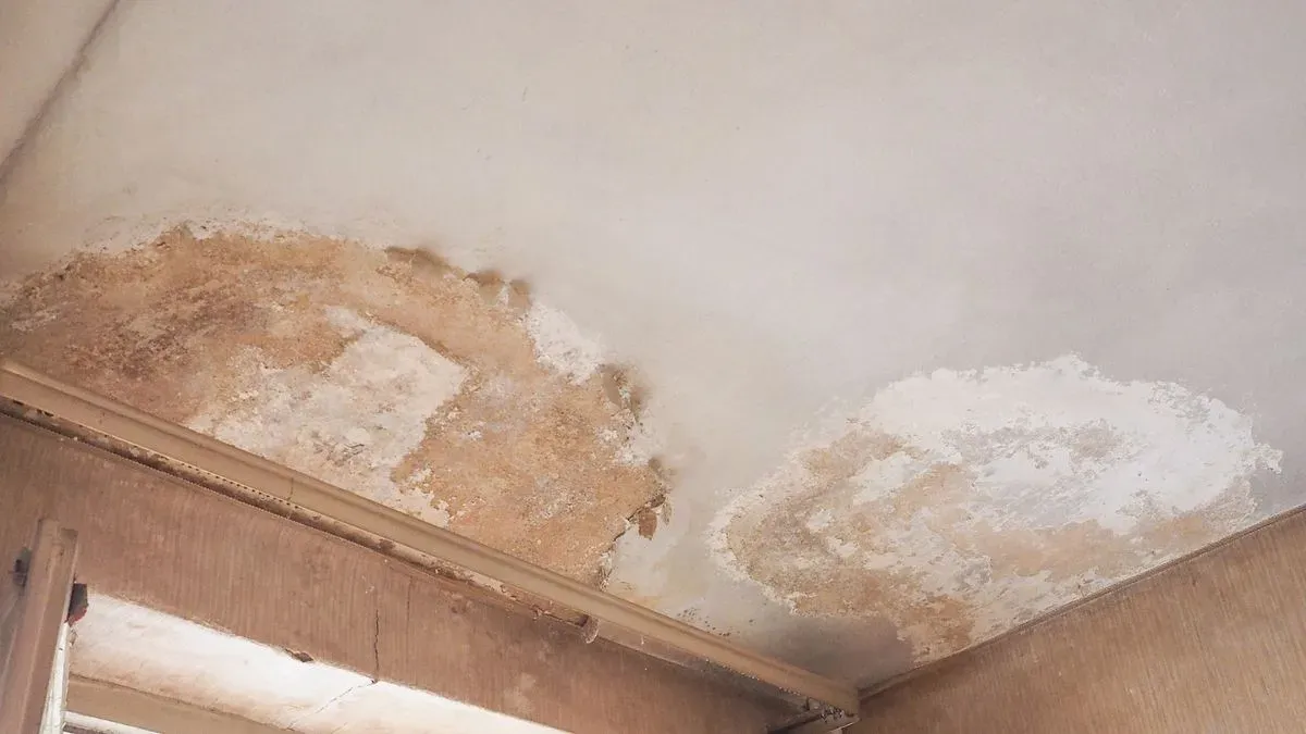 Before and after damp proofing treatment in Totnes