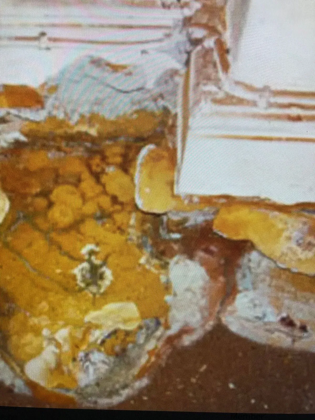 Damp-proofing work in a historic Totnes house