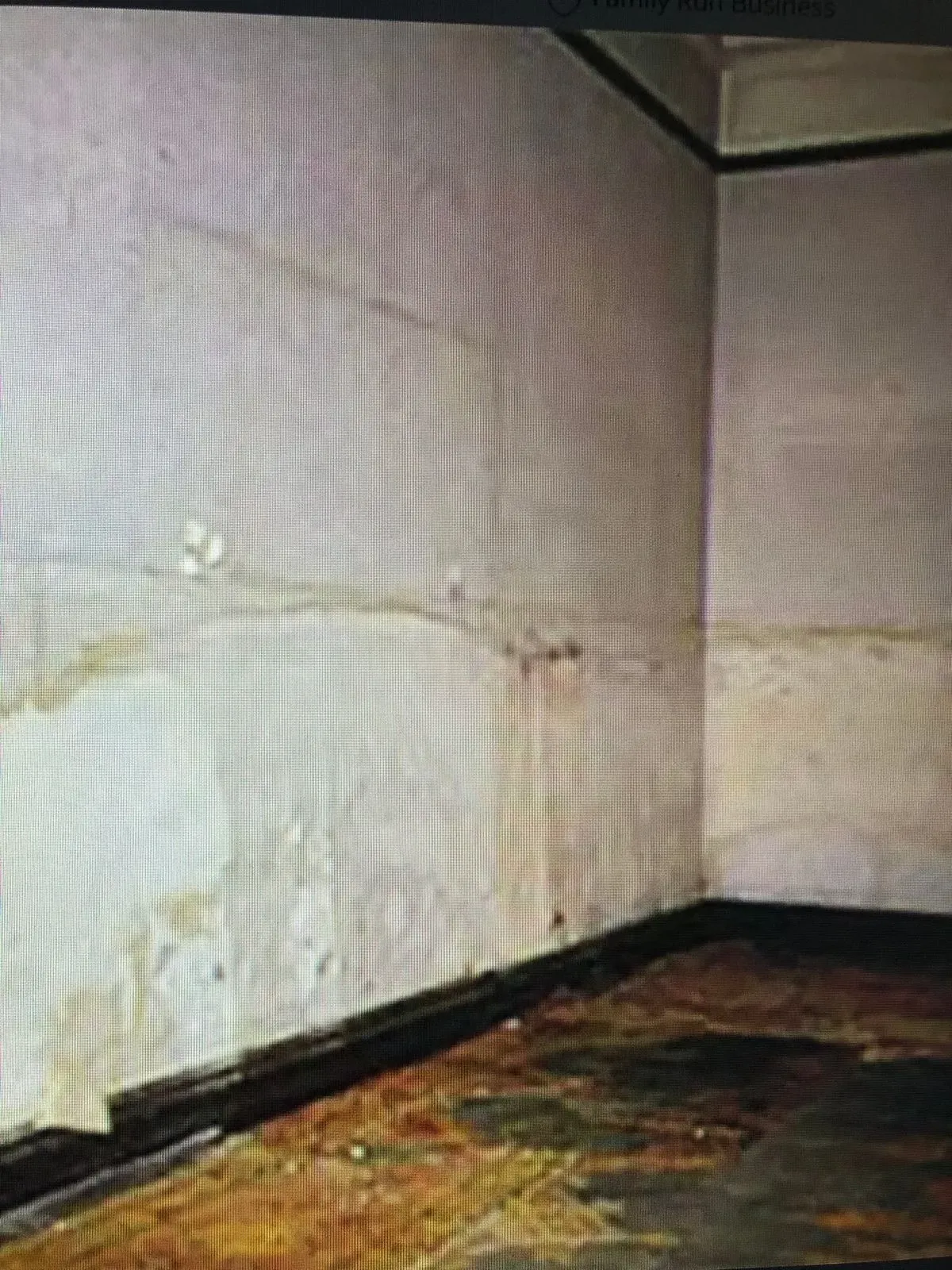 Protecting Totnes homes from rising damp